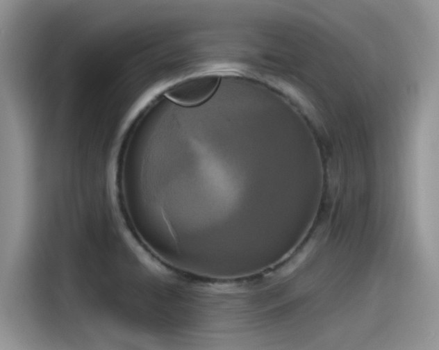 X0000115431422200911121054