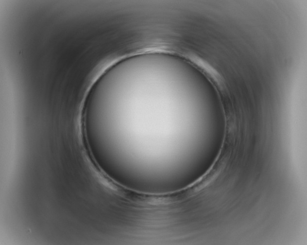 X0000115431423200911121054