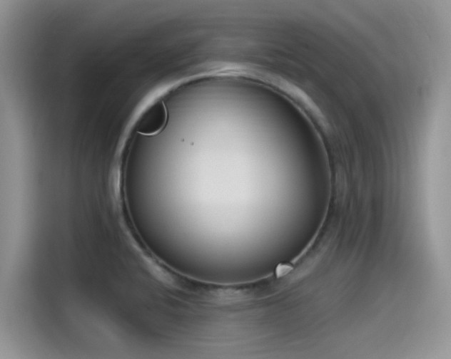 X0000115431424200911121054