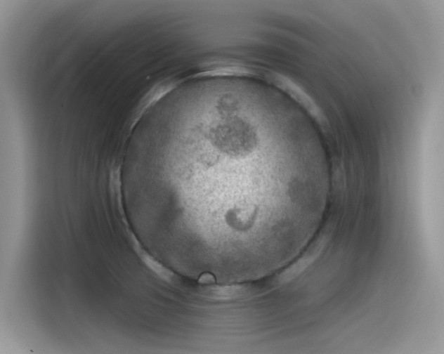 X0000115431425200911121054