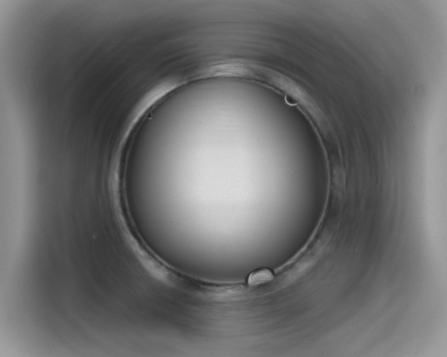 X0000115431426200911121054