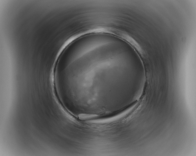 X0000115431428200911121054