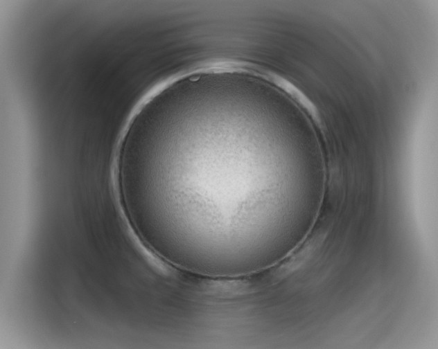 X0000115431429200911121054