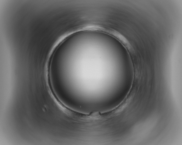 X0000115431430200911121054