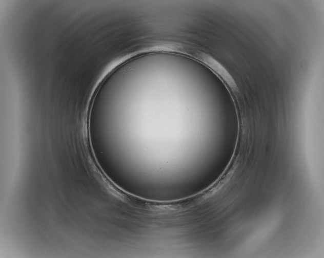X0000115431436200911121054
