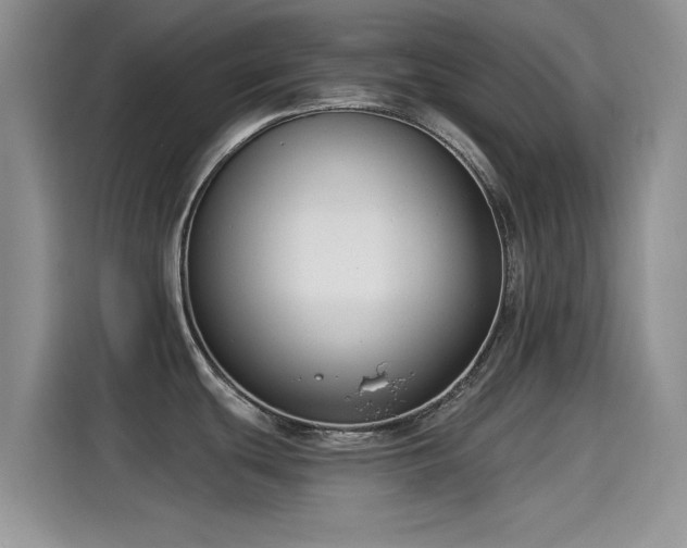 X0000115431439200911121054