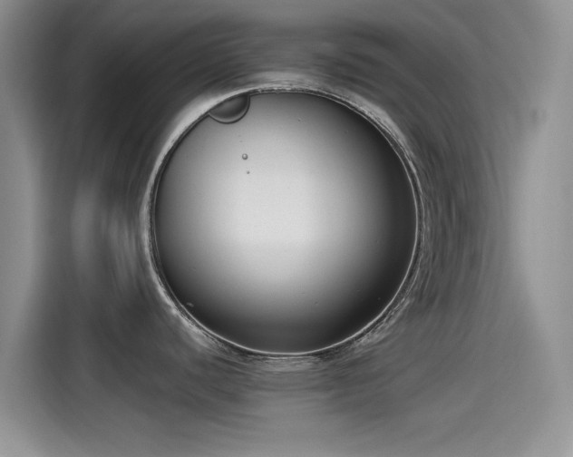 X0000115431440200911121054