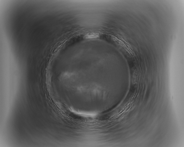 X0000115431441200911121054