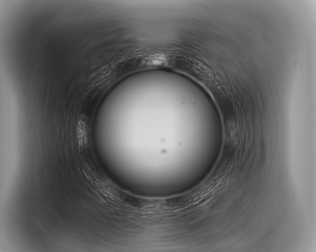 X0000115431442200911121054