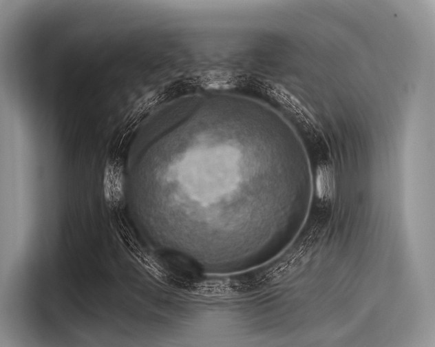 X0000115431444200911121054