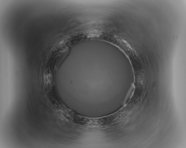 X0000115431445200911121054