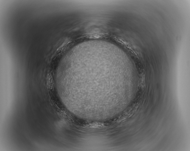 X0000115431446200911121054