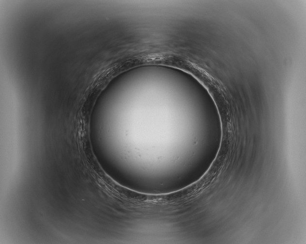 X0000115431447200911121054