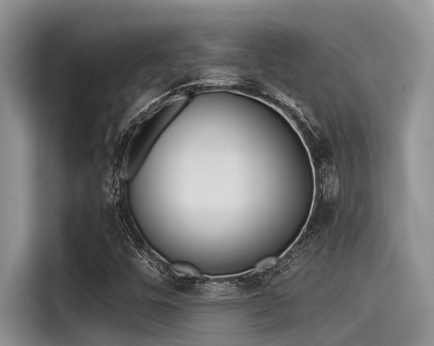 X0000115431448200911121053