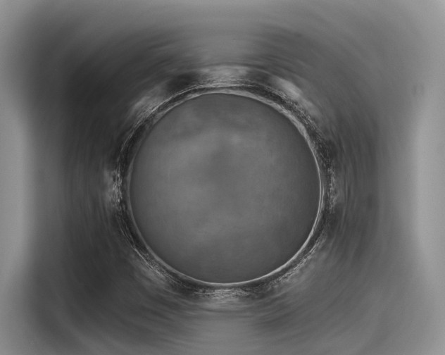 X0000115431449200911121053