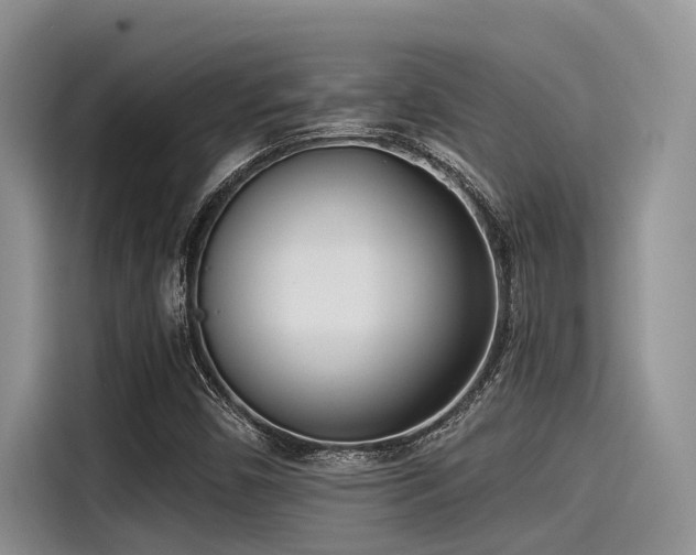 X0000115431450200911121053