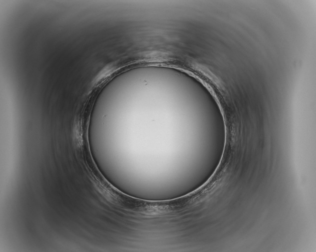 X0000115431451200911121053