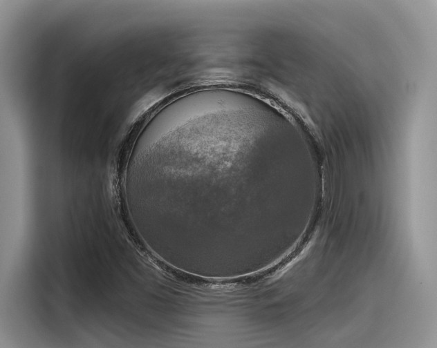 X0000115431453200911121053