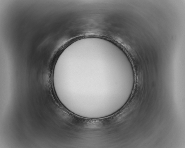 X0000115431454200911121053