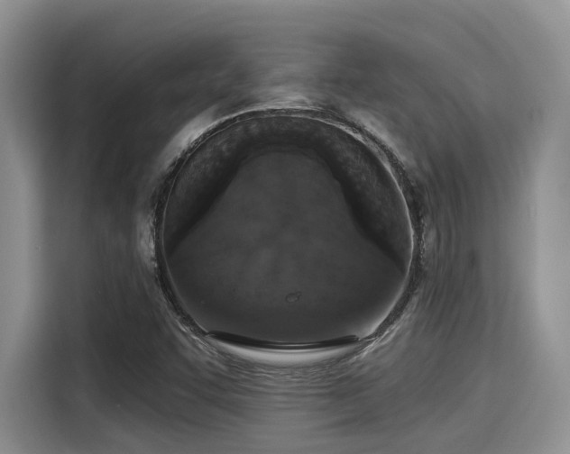 X0000115431455200911121053