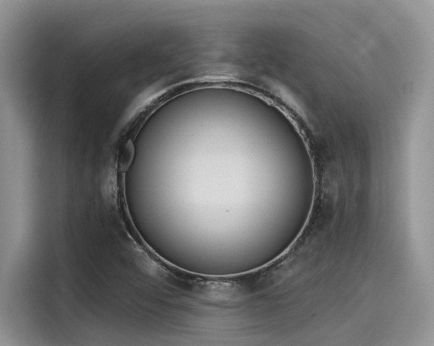 X0000115431456200911121053