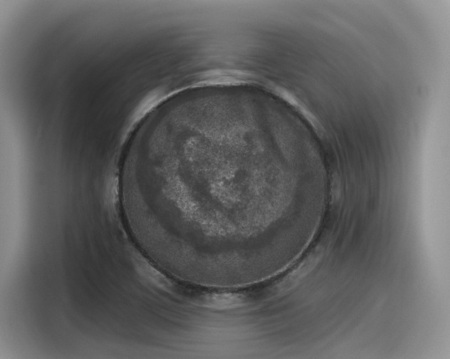 X0000115431459200911121053