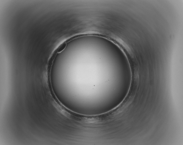 X0000115431460200911121053