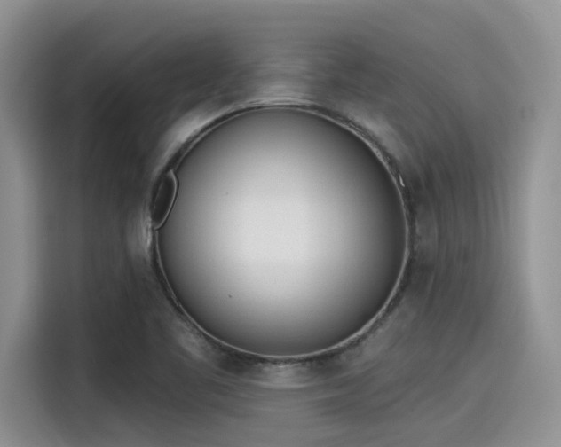 X0000115431461200911121053