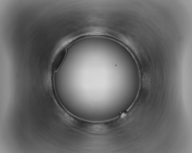 X0000115431464200911121053