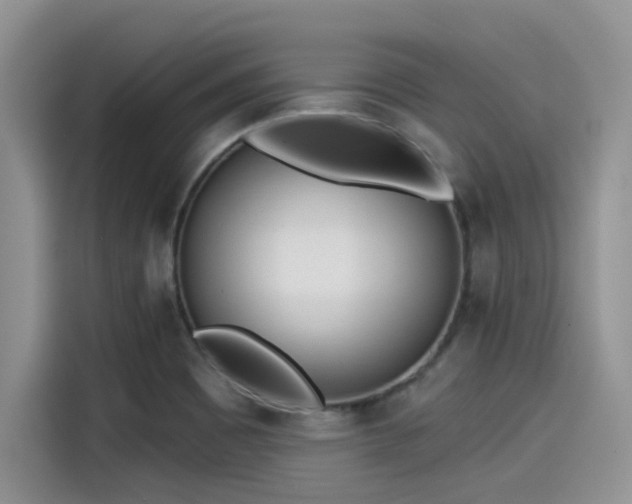 X0000115431465200911121053