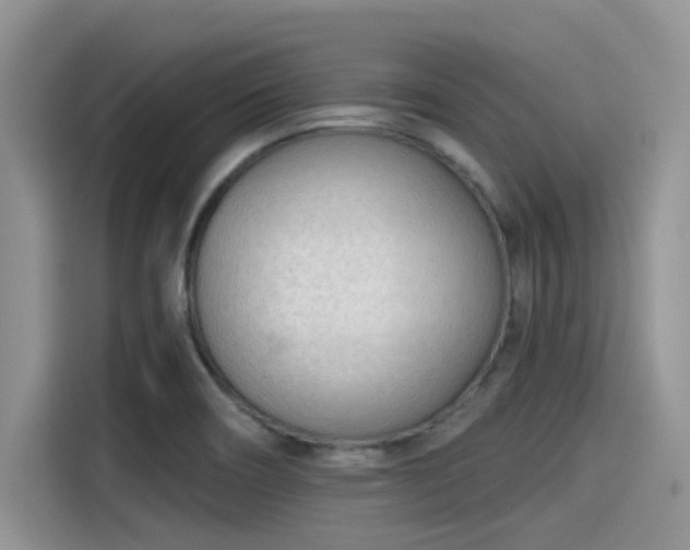 X0000115431466200911121053