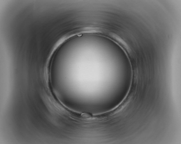 X0000115431467200911121053
