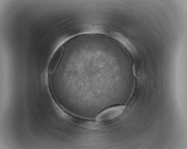X0000115431468200911121053