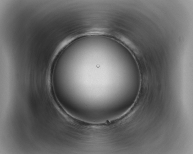 X0000115431469200911121053
