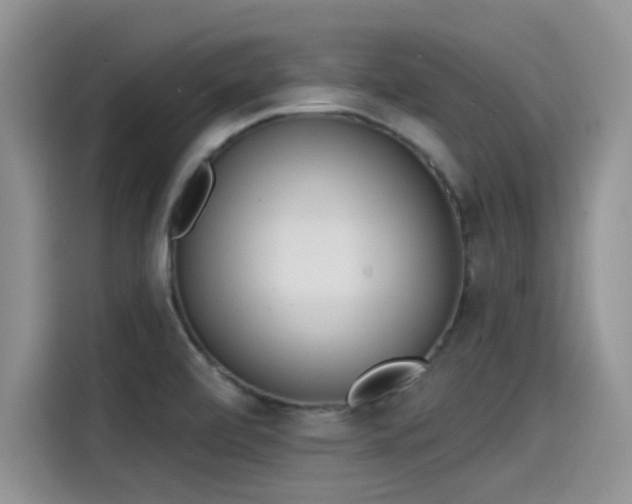 X0000115431472200911121053