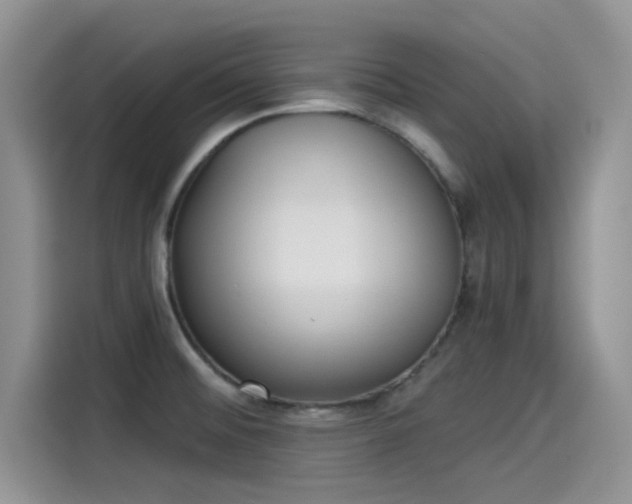 X0000115431476200911121053