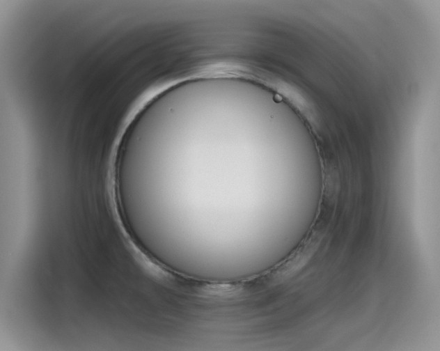 X0000115431478200911121053