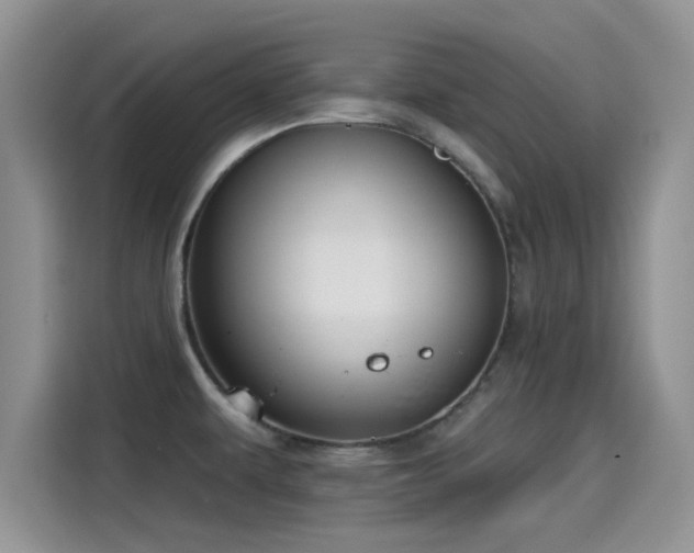 X0000115431479200911121053