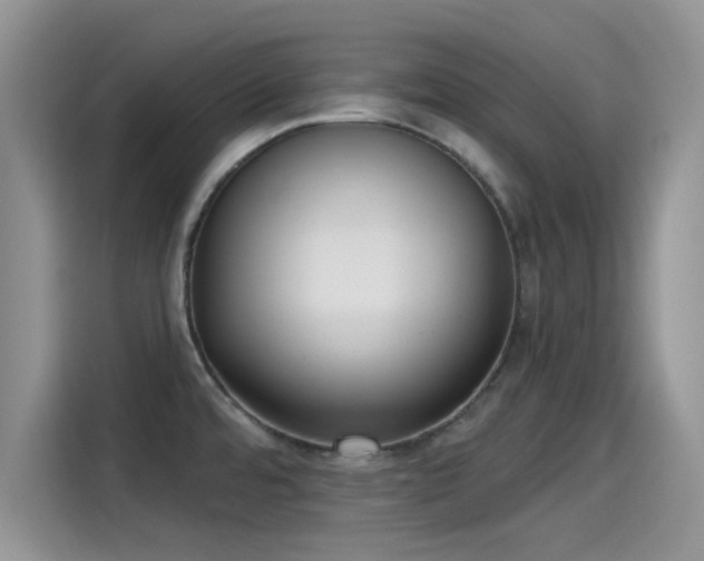 X0000115431480200911121053