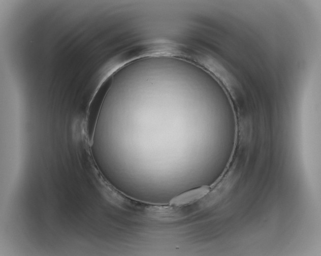 X0000115431481200911121053