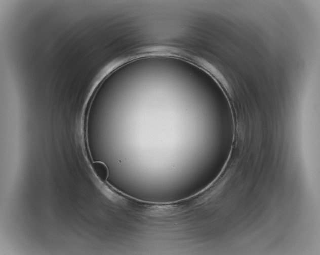 X0000115431482200911121053