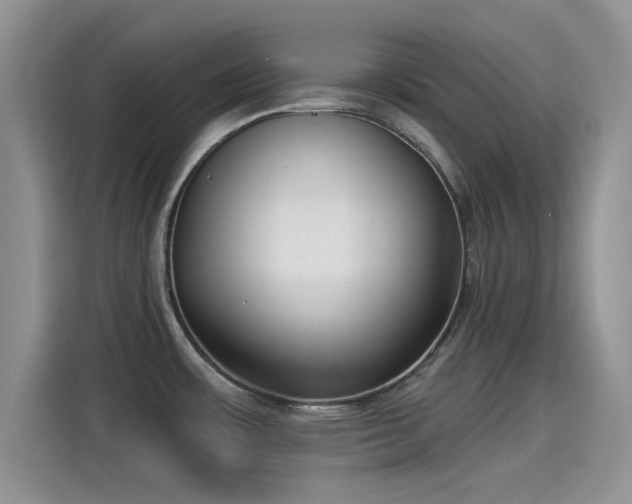 X0000115431483200911121053