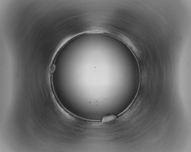 X0000115431484200911121053