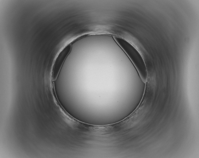 X0000115431485200911121053