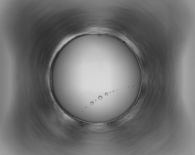 X0000115431486200911121053