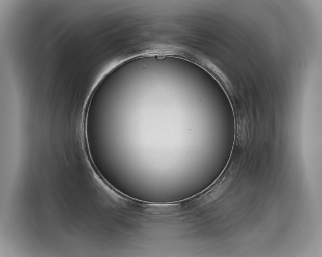 X0000115431487200911121053