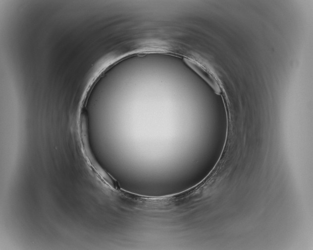 X0000115431488200911121053