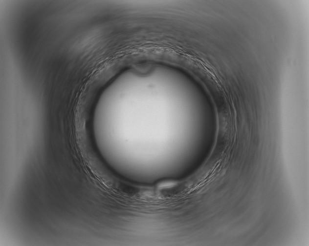 X0000115431489200911121052