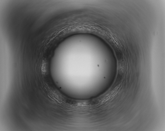 X0000115431490200911121052