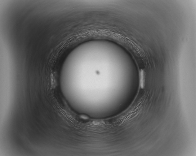 X0000115431491200911121052